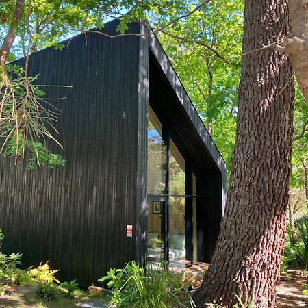 Nouveau - Ecolodge 'Calme Et Nature' - Avec Piscine Au Golf-Lac De Biscarrosse - Couchage 2 Personnes Exteriör bild