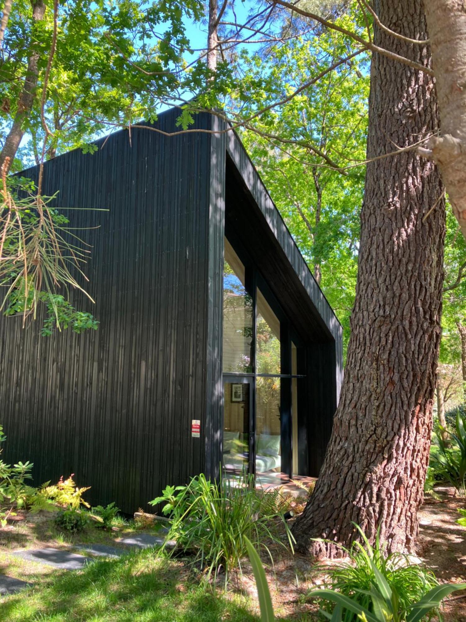Nouveau - Ecolodge 'Calme Et Nature' - Avec Piscine Au Golf-Lac De Biscarrosse - Couchage 2 Personnes Exteriör bild